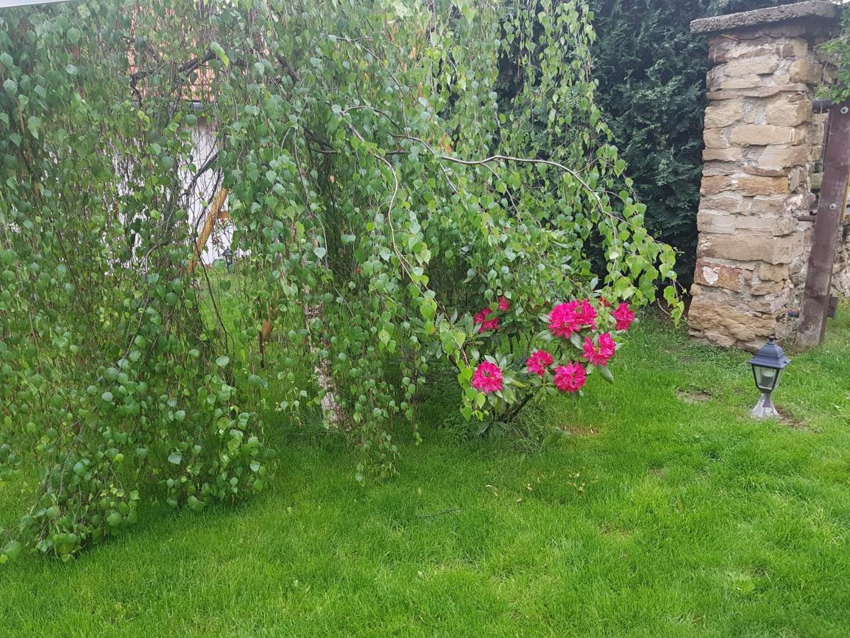 Zlty Dom Vrbov Apartamento Exterior foto